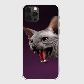 Чехол для iPhone 12 Pro Max с принтом Сфинкс в Петрозаводске, Силикон |  | aggressive | angry | animal | bald | breed | cat | dangerous | fangs | gray | purple | sphinx | агрессивный | животное | злой | клыки | кот | лысый | опасный | порода | серый | сфинкс | фиолетовый