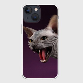 Чехол для iPhone 13 mini с принтом Сфинкс в Петрозаводске,  |  | aggressive | angry | animal | bald | breed | cat | dangerous | fangs | gray | purple | sphinx | агрессивный | животное | злой | клыки | кот | лысый | опасный | порода | серый | сфинкс | фиолетовый