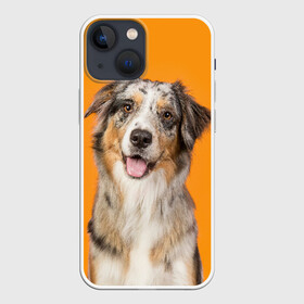 Чехол для iPhone 13 mini с принтом Австралийская овчарка в Петрозаводске,  |  | animal | australian | breed | cute | dog | ears | funny | look | muzzle | red | shepherd | tongue | white | австралийская | белый | взгляд | животное | забавный | милый | овчарка | порода | рыжий | смешной | собака | уши | язык