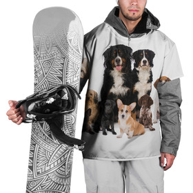 Накидка на куртку 3D с принтом Породистые собаки в Петрозаводске, 100% полиэстер |  | animal | bernese | breed | bulldog | corgi | cute | dog | french | funny | jack | labrador | mountain dog | muzzle | paws | pug | puppy | spaniel | бернский | бульдог | джек рассел | животное | забавный | зенненхунд | корги | лабрадор | лапы | милый