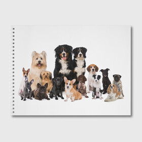 Альбом для рисования с принтом Породистые собаки в Петрозаводске, 100% бумага
 | матовая бумага, плотность 200 мг. | Тематика изображения на принте: animal | bernese | breed | bulldog | corgi | cute | dog | french | funny | jack | labrador | mountain dog | muzzle | paws | pug | puppy | spaniel | бернский | бульдог | джек рассел | животное | забавный | зенненхунд | корги | лабрадор | лапы | милый