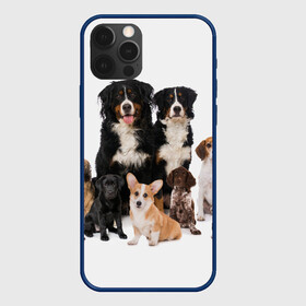Чехол для iPhone 12 Pro с принтом Породистые собаки в Петрозаводске, силикон | область печати: задняя сторона чехла, без боковых панелей | animal | bernese | breed | bulldog | corgi | cute | dog | french | funny | jack | labrador | mountain dog | muzzle | paws | pug | puppy | spaniel | бернский | бульдог | джек рассел | животное | забавный | зенненхунд | корги | лабрадор | лапы | милый