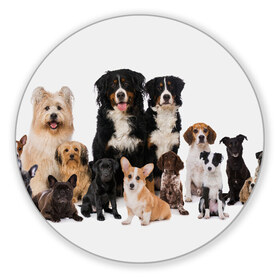 Коврик для мышки круглый с принтом Породистые собаки в Петрозаводске, резина и полиэстер | круглая форма, изображение наносится на всю лицевую часть | animal | bernese | breed | bulldog | corgi | cute | dog | french | funny | jack | labrador | mountain dog | muzzle | paws | pug | puppy | spaniel | бернский | бульдог | джек рассел | животное | забавный | зенненхунд | корги | лабрадор | лапы | милый