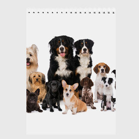 Скетчбук с принтом Породистые собаки в Петрозаводске, 100% бумага
 | 48 листов, плотность листов — 100 г/м2, плотность картонной обложки — 250 г/м2. Листы скреплены сверху удобной пружинной спиралью | Тематика изображения на принте: animal | bernese | breed | bulldog | corgi | cute | dog | french | funny | jack | labrador | mountain dog | muzzle | paws | pug | puppy | spaniel | бернский | бульдог | джек рассел | животное | забавный | зенненхунд | корги | лабрадор | лапы | милый