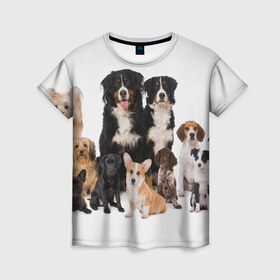 Женская футболка 3D с принтом Породистые собаки в Петрозаводске, 100% полиэфир ( синтетическое хлопкоподобное полотно) | прямой крой, круглый вырез горловины, длина до линии бедер | animal | bernese | breed | bulldog | corgi | cute | dog | french | funny | jack | labrador | mountain dog | muzzle | paws | pug | puppy | spaniel | бернский | бульдог | джек рассел | животное | забавный | зенненхунд | корги | лабрадор | лапы | милый