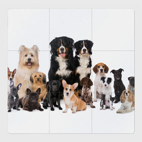 Магнитный плакат 3Х3 с принтом Породистые собаки в Петрозаводске, Полимерный материал с магнитным слоем | 9 деталей размером 9*9 см | animal | bernese | breed | bulldog | corgi | cute | dog | french | funny | jack | labrador | mountain dog | muzzle | paws | pug | puppy | spaniel | бернский | бульдог | джек рассел | животное | забавный | зенненхунд | корги | лабрадор | лапы | милый