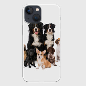 Чехол для iPhone 13 mini с принтом Породистые собаки в Петрозаводске,  |  | animal | bernese | breed | bulldog | corgi | cute | dog | french | funny | jack | labrador | mountain dog | muzzle | paws | pug | puppy | spaniel | бернский | бульдог | джек рассел | животное | забавный | зенненхунд | корги | лабрадор | лапы | милый