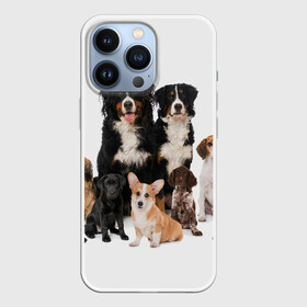 Чехол для iPhone 13 Pro с принтом Породистые собаки в Петрозаводске,  |  | animal | bernese | breed | bulldog | corgi | cute | dog | french | funny | jack | labrador | mountain dog | muzzle | paws | pug | puppy | spaniel | бернский | бульдог | джек рассел | животное | забавный | зенненхунд | корги | лабрадор | лапы | милый