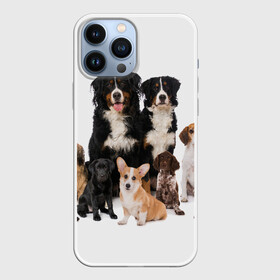 Чехол для iPhone 13 Pro Max с принтом Породистые собаки в Петрозаводске,  |  | animal | bernese | breed | bulldog | corgi | cute | dog | french | funny | jack | labrador | mountain dog | muzzle | paws | pug | puppy | spaniel | бернский | бульдог | джек рассел | животное | забавный | зенненхунд | корги | лабрадор | лапы | милый