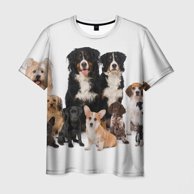 Мужская футболка 3D с принтом Породистые собаки в Петрозаводске, 100% полиэфир | прямой крой, круглый вырез горловины, длина до линии бедер | Тематика изображения на принте: animal | bernese | breed | bulldog | corgi | cute | dog | french | funny | jack | labrador | mountain dog | muzzle | paws | pug | puppy | spaniel | бернский | бульдог | джек рассел | животное | забавный | зенненхунд | корги | лабрадор | лапы | милый