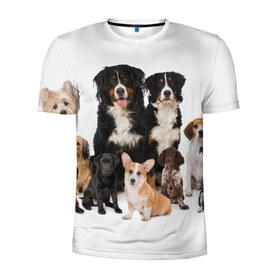 Мужская футболка 3D спортивная с принтом Породистые собаки в Петрозаводске, 100% полиэстер с улучшенными характеристиками | приталенный силуэт, круглая горловина, широкие плечи, сужается к линии бедра | animal | bernese | breed | bulldog | corgi | cute | dog | french | funny | jack | labrador | mountain dog | muzzle | paws | pug | puppy | spaniel | бернский | бульдог | джек рассел | животное | забавный | зенненхунд | корги | лабрадор | лапы | милый