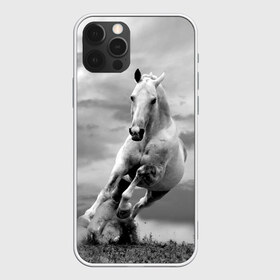 Чехол для iPhone 12 Pro Max с принтом Белая лошадь в Петрозаводске, Силикон |  | Тематика изображения на принте: animal | beautiful | gloss | horse | mane | mustang | muzzle | nature | white | wild | белый | грива | дикий | животное | конь | красивый | лоск | лошадь | мустанг | природа | скакун