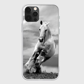 Чехол для iPhone 12 Pro Max с принтом Белая лошадь в Петрозаводске, Силикон |  | animal | beautiful | gloss | horse | mane | mustang | muzzle | nature | white | wild | белый | грива | дикий | животное | конь | красивый | лоск | лошадь | мустанг | природа | скакун