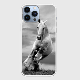 Чехол для iPhone 13 Pro Max с принтом Белая лошадь в Петрозаводске,  |  | animal | beautiful | gloss | horse | mane | mustang | muzzle | nature | white | wild | белый | грива | дикий | животное | конь | красивый | лоск | лошадь | мустанг | природа | скакун