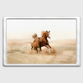 Магнит 45*70 с принтом Лошадь с жеребенком  в Петрозаводске, Пластик | Размер: 78*52 мм; Размер печати: 70*45 | animal | baby | beautiful | brown | desert | foal | horse | mustang | nature | wild | дикий | жеребенок | животное | конь | коричневый | красивый | лошадь | малыш | мустанг | природа | пустыня | скакун