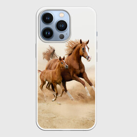 Чехол для iPhone 13 Pro с принтом Лошадь с жеребенком в Петрозаводске,  |  | Тематика изображения на принте: animal | baby | beautiful | brown | desert | foal | horse | mustang | nature | wild | дикий | жеребенок | животное | конь | коричневый | красивый | лошадь | малыш | мустанг | природа | пустыня | скакун