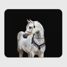 Коврик для мышки прямоугольный с принтом Серый в яблоках конь в Петрозаводске, натуральный каучук | размер 230 х 185 мм; запечатка лицевой стороны | Тематика изображения на принте: animal | beautiful | black | eyes | gloss | gray | harness | horse | in apples | look | muzzle | spotted | white | белый | в яблоках | взгляд | глаза | животное | конь | красивый | лоск | лошадь | пятнистый | сбруя | серый | скакун | черный