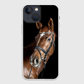 Чехол для iPhone 13 mini с принтом Гнедая лошадь в Петрозаводске,  |  | animal | beautiful | black | brown | eyes | gloss | horse | look | muscles | muzzle | portrait | взгляд | глаза | гнедая | животное | конь | коричневый | красивый | лоск | лошадь | мускулы | портрет | скакун | черный