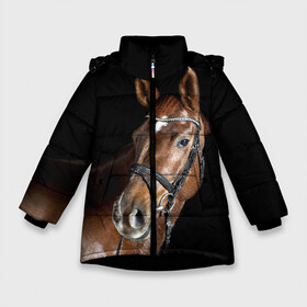 Зимняя куртка для девочек 3D с принтом Гнедая лошадь в Петрозаводске, ткань верха — 100% полиэстер; подклад — 100% полиэстер, утеплитель — 100% полиэстер. | длина ниже бедра, удлиненная спинка, воротник стойка и отстегивающийся капюшон. Есть боковые карманы с листочкой на кнопках, утяжки по низу изделия и внутренний карман на молнии. 

Предусмотрены светоотражающий принт на спинке, радужный светоотражающий элемент на пуллере молнии и на резинке для утяжки. | animal | beautiful | black | brown | eyes | gloss | horse | look | muscles | muzzle | portrait | взгляд | глаза | гнедая | животное | конь | коричневый | красивый | лоск | лошадь | мускулы | портрет | скакун | черный