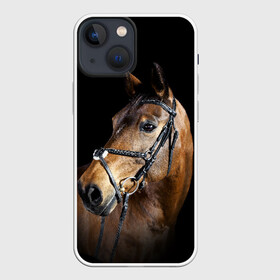 Чехол для iPhone 13 mini с принтом Гнедая лошадь в Петрозаводске,  |  | animal | beautiful | black | brown | eyes | gloss | harness | horse | look | muzzle | взгляд | глаза | гнедая | гнедой | животное | конь | коричневый | красивый | лоск | лошадь | сбруя | скакун | черный