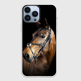 Чехол для iPhone 13 Pro Max с принтом Гнедая лошадь в Петрозаводске,  |  | animal | beautiful | black | brown | eyes | gloss | harness | horse | look | muzzle | взгляд | глаза | гнедая | гнедой | животное | конь | коричневый | красивый | лоск | лошадь | сбруя | скакун | черный