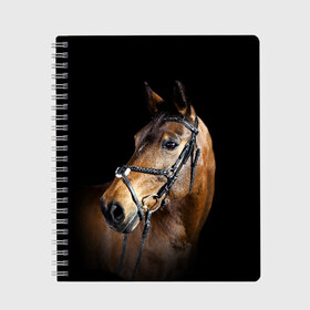 Тетрадь с принтом Гнедая лошадь в Петрозаводске, 100% бумага | 48 листов, плотность листов — 60 г/м2, плотность картонной обложки — 250 г/м2. Листы скреплены сбоку удобной пружинной спиралью. Уголки страниц и обложки скругленные. Цвет линий — светло-серый
 | animal | beautiful | black | brown | eyes | gloss | harness | horse | look | muzzle | взгляд | глаза | гнедая | гнедой | животное | конь | коричневый | красивый | лоск | лошадь | сбруя | скакун | черный