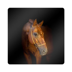 Магнит виниловый Квадрат с принтом Гнедая лошадь в Петрозаводске, полимерный материал с магнитным слоем | размер 9*9 см, закругленные углы | animal | beautiful | black | brown | eyes | gloss | harness | horse | look | muzzle | взгляд | глаза | гнедой | животное | конь | коричневый | красивый | лоск | лошадь | сбруя | скакун | черный