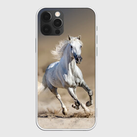 Чехол для iPhone 12 Pro Max с принтом Белый конь в Петрозаводске, Силикон |  | Тематика изображения на принте: animal | beautiful | desert | gloss | horse | mane | mustang | muzzle | nature | sand | white | wild | белый | грива | дикий | животное | конь | красивый | лоск | лошадь | мустанг | песок | природа | пустыня | скакун