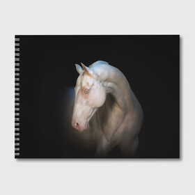 Альбом для рисования с принтом Белая лошадь в Петрозаводске, 100% бумага
 | матовая бумага, плотность 200 мг. | animal | black | breed | horse | muscle | muzzle | strength | unusual | white | белый | животное | конь | лошадь | мышцы | необычный | порода | сила | скакун