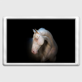 Магнит 45*70 с принтом Белая лошадь в Петрозаводске, Пластик | Размер: 78*52 мм; Размер печати: 70*45 | animal | black | breed | horse | muscle | muzzle | strength | unusual | white | белый | животное | конь | лошадь | мышцы | необычный | порода | сила | скакун