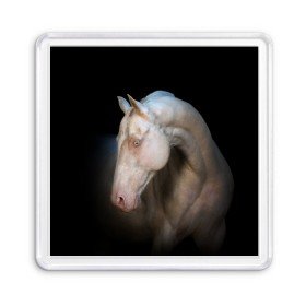 Магнит 55*55 с принтом Белая лошадь в Петрозаводске, Пластик | Размер: 65*65 мм; Размер печати: 55*55 мм | animal | black | breed | horse | muscle | muzzle | strength | unusual | white | белый | животное | конь | лошадь | мышцы | необычный | порода | сила | скакун