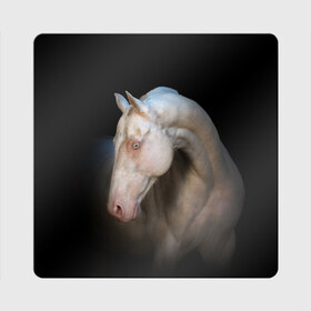Магнит виниловый Квадрат с принтом Белая лошадь в Петрозаводске, полимерный материал с магнитным слоем | размер 9*9 см, закругленные углы | animal | black | breed | horse | muscle | muzzle | strength | unusual | white | белый | животное | конь | лошадь | мышцы | необычный | порода | сила | скакун