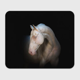 Коврик для мышки прямоугольный с принтом Белая лошадь в Петрозаводске, натуральный каучук | размер 230 х 185 мм; запечатка лицевой стороны | Тематика изображения на принте: animal | black | breed | horse | muscle | muzzle | strength | unusual | white | белый | животное | конь | лошадь | мышцы | необычный | порода | сила | скакун