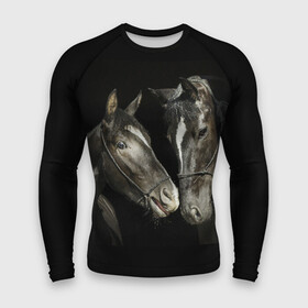 Мужской рашгард 3D с принтом Лошади в Петрозаводске,  |  | animal | beautiful | black | couple | eyes | gloss | harness | horse | look | muzzle | взгляд | глаза | животное | конь | красивый | лоск | лошади | пара | сбруя | скакуны | черные