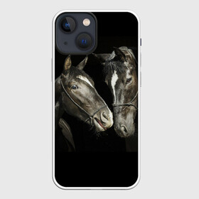 Чехол для iPhone 13 mini с принтом Лошади в Петрозаводске,  |  | animal | beautiful | black | couple | eyes | gloss | harness | horse | look | muzzle | взгляд | глаза | животное | конь | красивый | лоск | лошади | пара | сбруя | скакуны | черные