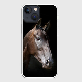 Чехол для iPhone 13 mini с принтом Лошадь в Петрозаводске,  |  | animal | beautiful | black | brown | horse | muzzle | portrait | животное | конь | коричневый | красивый | лошадь | портрет | скакун | черный