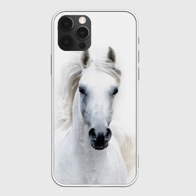 Чехол для iPhone 12 Pro с принтом Белая лошадь в Петрозаводске, силикон | область печати: задняя сторона чехла, без боковых панелей | animal | beautiful | gloss | horse | mane | mustang | muzzle | white | wild | белый | грива | дикий | животное | конь | красивый | лоск | лошадь | мустанг | скакун