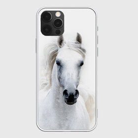 Чехол для iPhone 12 Pro Max с принтом Белая лошадь в Петрозаводске, Силикон |  | Тематика изображения на принте: animal | beautiful | gloss | horse | mane | mustang | muzzle | white | wild | белый | грива | дикий | животное | конь | красивый | лоск | лошадь | мустанг | скакун