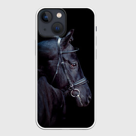 Чехол для iPhone 13 mini с принтом Конь вороной в Петрозаводске,  |  | animal | beautiful | black | eyes | gloss | hairstyle | harness | horse | look | muzzle | взгляд | вороной | глаза | животное | конь | красивый | лоск | лошадь | прическа | сбруя | скакун | черный