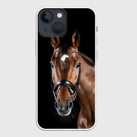 Чехол для iPhone 13 mini с принтом Гнедая лошадь в Петрозаводске,  |  | animal | beautiful | black | brown | eyes | gloss | harness | horse | look | muzzle | взгляд | глаза | гнедая | животное | конь | коричневый | красивый | лоск | лошадь | сбруя | скакун | черный