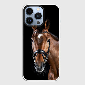 Чехол для iPhone 13 Pro с принтом Гнедая лошадь в Петрозаводске,  |  | animal | beautiful | black | brown | eyes | gloss | harness | horse | look | muzzle | взгляд | глаза | гнедая | животное | конь | коричневый | красивый | лоск | лошадь | сбруя | скакун | черный