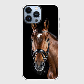 Чехол для iPhone 13 Pro Max с принтом Гнедая лошадь в Петрозаводске,  |  | animal | beautiful | black | brown | eyes | gloss | harness | horse | look | muzzle | взгляд | глаза | гнедая | животное | конь | коричневый | красивый | лоск | лошадь | сбруя | скакун | черный