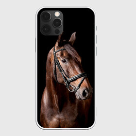 Чехол для iPhone 12 Pro Max с принтом Гнедая лошадь в Петрозаводске, Силикон |  | animal | beautiful | black | brown | eyes | gloss | harness | horse | look | muzzle | взгляд | глаза | гнедая | животное | конь | коричневый | красивый | лоск | лошадь | сбруя | скакун | черный
