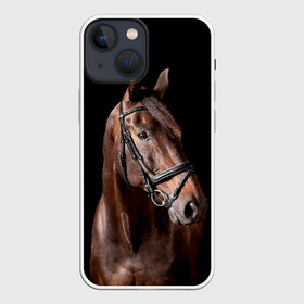 Чехол для iPhone 13 mini с принтом Гнедая лошадь в Петрозаводске,  |  | animal | beautiful | black | brown | eyes | gloss | harness | horse | look | muzzle | взгляд | глаза | гнедая | животное | конь | коричневый | красивый | лоск | лошадь | сбруя | скакун | черный