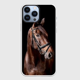 Чехол для iPhone 13 Pro Max с принтом Гнедая лошадь в Петрозаводске,  |  | animal | beautiful | black | brown | eyes | gloss | harness | horse | look | muzzle | взгляд | глаза | гнедая | животное | конь | коричневый | красивый | лоск | лошадь | сбруя | скакун | черный