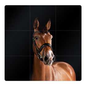 Магнитный плакат 3Х3 с принтом Гнедая лошадь в Петрозаводске, Полимерный материал с магнитным слоем | 9 деталей размером 9*9 см | Тематика изображения на принте: animal | beautiful | black | brown | eyes | gloss | harness | horse | look | muzzle | взгляд | глаза | гнедая | животное | конь | коричневый | красивый | лоск | лошадь | сбруя | скакун | черный