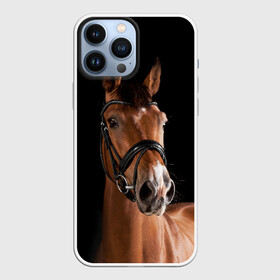 Чехол для iPhone 13 Pro Max с принтом Гнедая лошадь в Петрозаводске,  |  | animal | beautiful | black | brown | eyes | gloss | harness | horse | look | muzzle | взгляд | глаза | гнедая | животное | конь | коричневый | красивый | лоск | лошадь | сбруя | скакун | черный