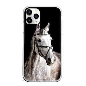 Чехол для iPhone 11 Pro Max матовый с принтом Серный в яблоках конь в Петрозаводске, Силикон |  | animal | beautiful | black | eyes | gloss | harness | horse | look | muzzle | spotted | white | белый | в яблоках | взгляд | глаза | животное | конь | красивый | лоск | лошадь | пятнистый | сбруя | серый | скакун | черный