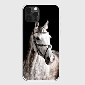 Чехол для iPhone 12 Pro Max с принтом Серный в яблоках конь в Петрозаводске, Силикон |  | animal | beautiful | black | eyes | gloss | harness | horse | look | muzzle | spotted | white | белый | в яблоках | взгляд | глаза | животное | конь | красивый | лоск | лошадь | пятнистый | сбруя | серый | скакун | черный
