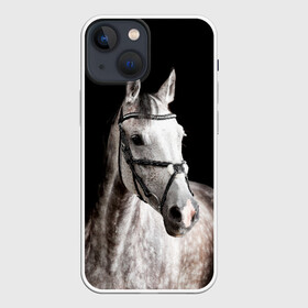 Чехол для iPhone 13 mini с принтом Серный в яблоках конь в Петрозаводске,  |  | animal | beautiful | black | eyes | gloss | harness | horse | look | muzzle | spotted | white | белый | в яблоках | взгляд | глаза | животное | конь | красивый | лоск | лошадь | пятнистый | сбруя | серый | скакун | черный
